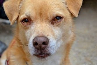 Wimpern klimpern auf Nele-Art