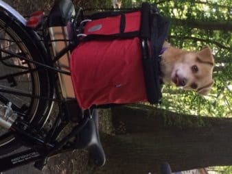 Nele auf dem Fahrradausflug