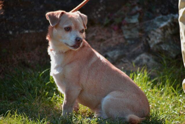 immer schööön langsam, ich habe keine Eile