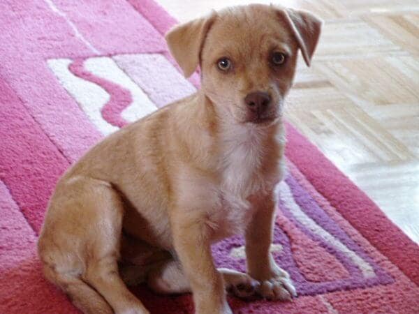 is ja eigentlich ganz nett hier