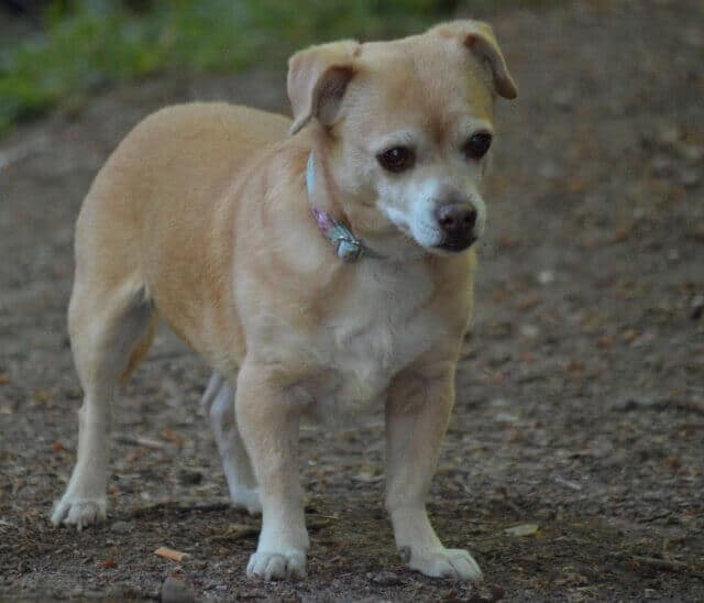 Nele ist unsere gute Seele. Der Zahn der Zeit.