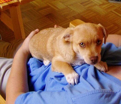 oh Gott, wo bin ich hier